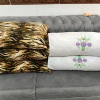 بالشت