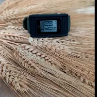 ساعت|ساعت|بندرعباس, |دیوار