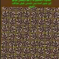 راننده همراه با اتومبیل پراید
