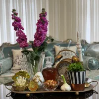 رانر برنزی مراکشی