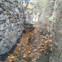 سوییت جنگلی زشک ابرده سبز کد۷|اجارهٔ کوتاه‌مدت آپارتمان و سوئیت|مشهد, الهیه|دیوار