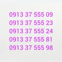 09133755509