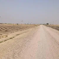 فروش ۲ هکتار زمین کشاورزی سندی شهرک منتظری|فروش دفتر صنعتی، کشاورزی، تجاری|دزفول, |دیوار