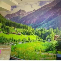 نصاب کاغذ دیواری.وپوستر.نقاشی