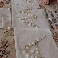 یک قطعه طلا پیدا شده