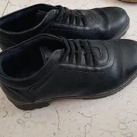 انواع کفش زنانه ومردانه