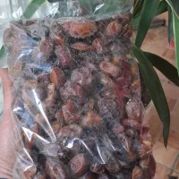 خرمای بی هسته درجه یک|خوردنی و آشامیدنی|قم, وادی السلام|دیوار