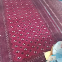 فرش دستبافت|فرش|مشهد, شهید قربانی|دیوار