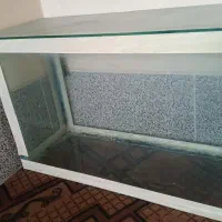 آکواریوم ماهی