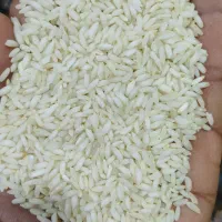 برنج عنبربو