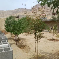 خونه باغ سانیچ