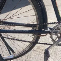 دوچرخه|دوچرخه، اسکیت، اسکوتر|سلماس, |دیوار