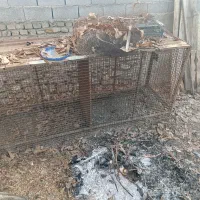 قفس پرنده|لوازم جانبی حیوانات|دماوند, گیلاوند|دیوار