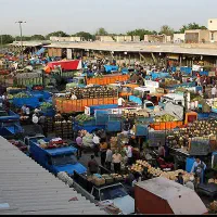 تامین میوه و تره بار