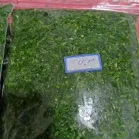 سبزی خورشتی  سبزی کرفس سرخ شده پیاز داغ و...|خوردنی و آشامیدنی|قم, باسکول|دیوار