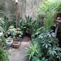 به گلخانه کوچیک ما خوش امدین