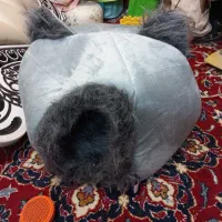 وسایل گربه