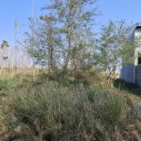 فروش-زمین-210متری-شهری-سند-تک-برگ-حشمت