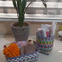 هنر دست.نظم دهنده|آب‌چکان و نظم‌دهنده ظروف|رشت, تازه آباد|دیوار