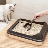 خاک گربه آنتی باکتریال بهداشتی