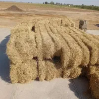کرابیه (زیره سبز)