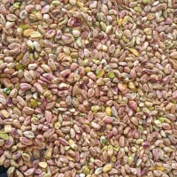 فروش خرید مغز دستگاهی دستشکن