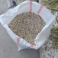 لوبیا درجه ۱