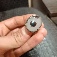 انگشتر شجر قاعنات