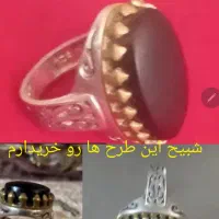 شفت عبد