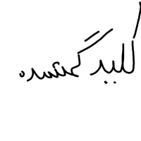 اشیا گم شده