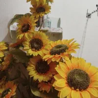 گل آفتابگردون و گل ارکیده