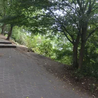 تدریس  زیست کنکور و راهنمایی دروس دانشگاه