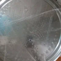 سینی استیل نو سایز ۶۰