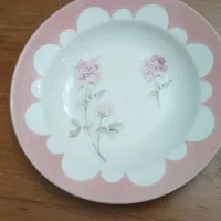 دو عدد بشقاب باقدمت بیش از صدسال