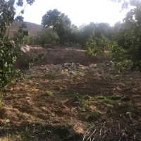 زمین چهار دیواری بادرود سرآسیاب