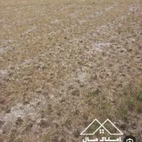 زمین 2000 مترمربع