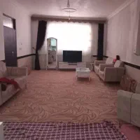 پالازموکت وپشتی