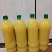 ابلیمو شیراز