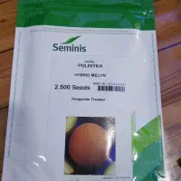 بذر سبزیجات بذر تره بذر یونجه بذر شوید بذر باقالا|گل و گیاه طبیعی|اصفهان, سلطانآباد|دیوار