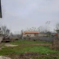 فروش زمین|فروش زمین و ملک کلنگی|رودبنه, |دیوار