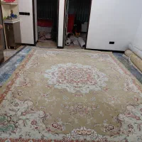 دو عدد فرش ۱۲ متری