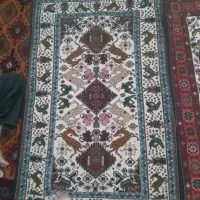 تعداد ۳۰ عدد قالیچه دست بافت درجه یک|فرش|سنگان, |دیوار