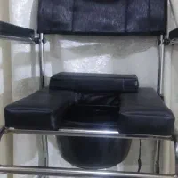 ویلچرفرنگی