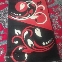 پادری