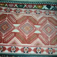 پادری های رنگی رنگی ریشه دار|پادری|پاکدشت, پاکدشت (مامازند)|دیوار