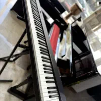 پیانو دیجیتال کاسیو طرح آکوستیک|پیانو، کیبورد، آکاردئون|ارومیه, |دیوار