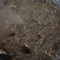 انواع سبزی|خوردنی و آشامیدنی|اهواز, سپیدار|دیوار