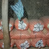 کاه یا سامان