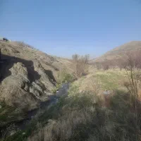 فروش زمین باغی