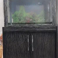 اکواریوم ماهی فروشی